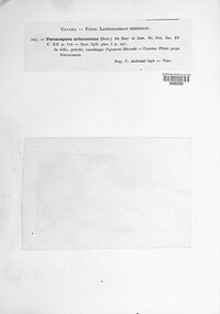 Image Associated With the Occurence